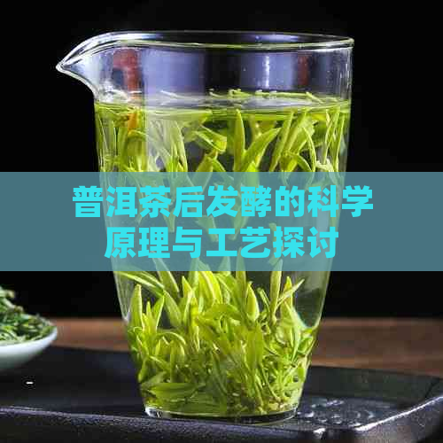 普洱茶后发酵的科学原理与工艺探讨