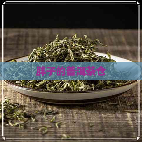 胖子的普洱茶仓