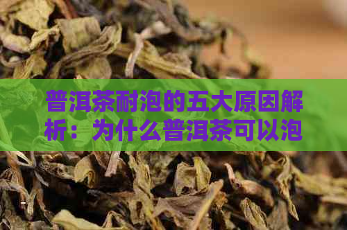 普洱茶耐泡的五大原因解析：为什么普洱茶可以泡很多次？