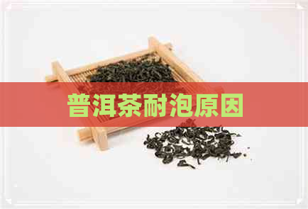 普洱茶耐泡原因