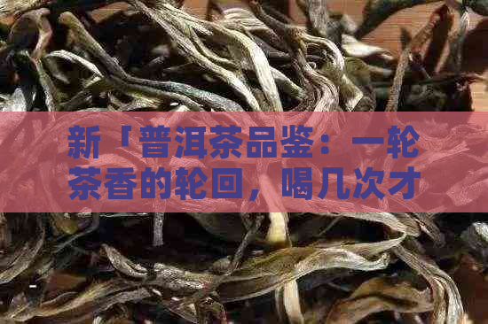 新「普洱茶品鉴：一轮茶香的轮回，喝几次才算尽兴？」