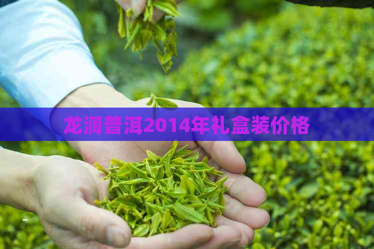 龙润普洱2014年礼盒装价格