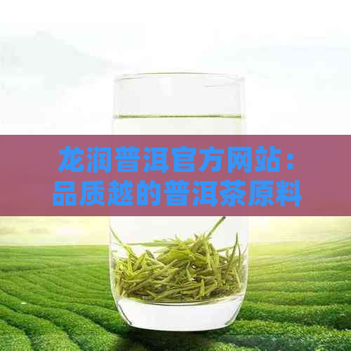 龙润普洱官方网站：品质越的普洱茶原料与茶饮体验