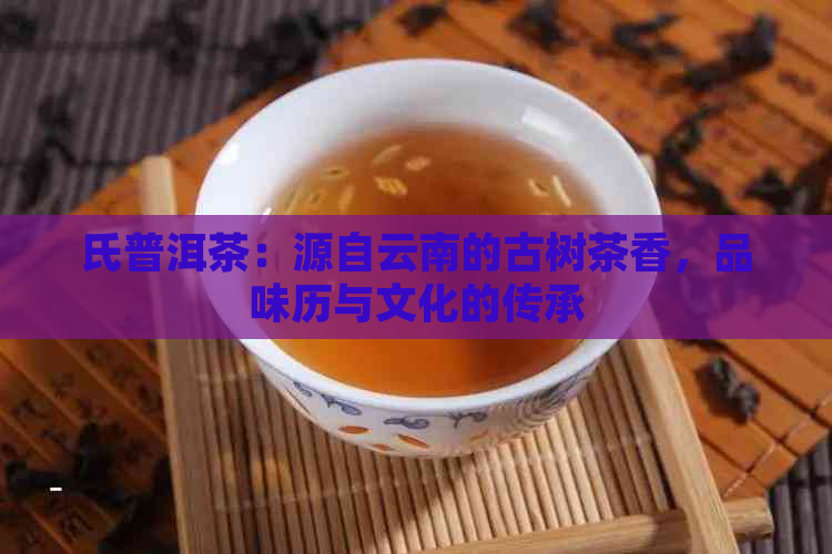 氏普洱茶：源自云南的古树茶香，品味历与文化的传承