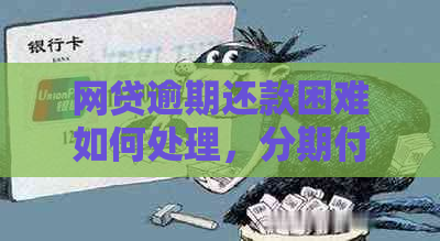 网贷逾期还款困难如何处理，分期付款是否可行？