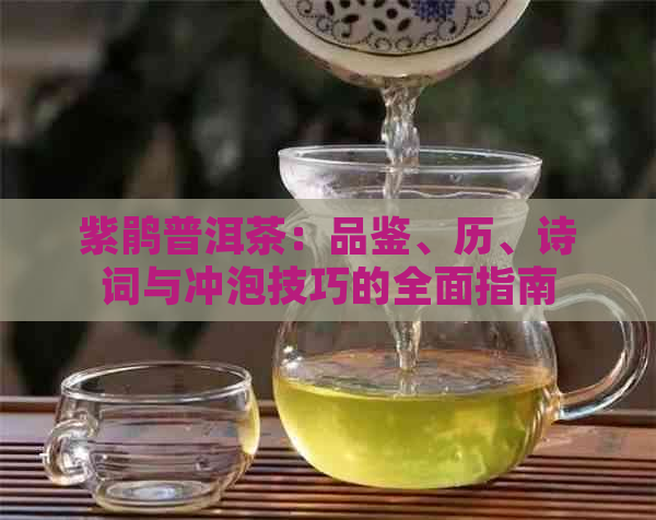 紫鹃普洱茶：品鉴、历、诗词与冲泡技巧的全面指南