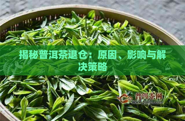 揭秘普洱茶退仓：原因、影响与解决策略