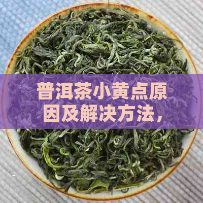 普洱茶小黄点原因及解决方法，关于普洱茶上出现小黄点的探讨。