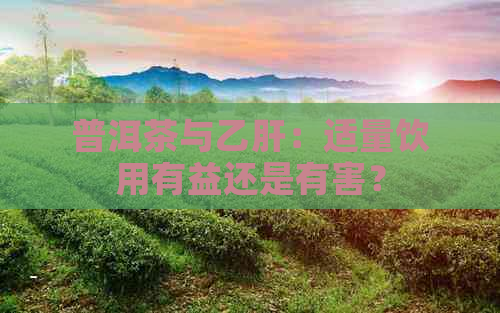 普洱茶与乙肝：适量饮用有益还是有害？