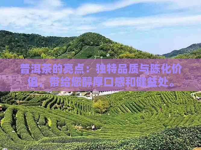 普洱茶的亮点：独特品质与陈化价值，带给您醇厚口感和健益处。