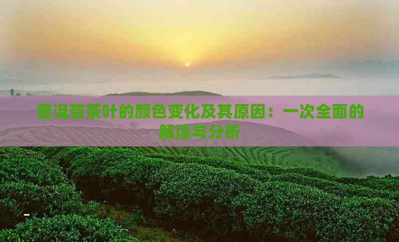 普洱茶茶叶的颜色变化及其原因：一次全面的解读与分析