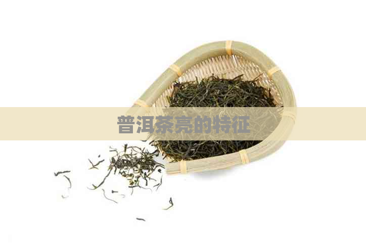 普洱茶亮的特征