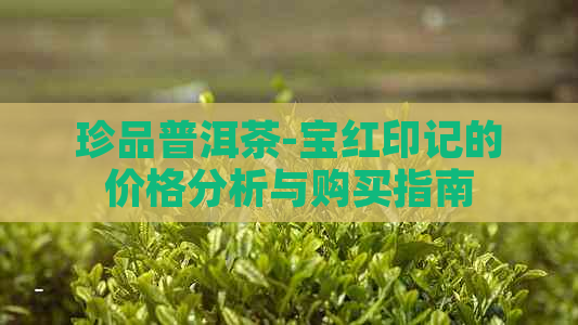 珍品普洱茶-宝红印记的价格分析与购买指南