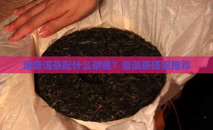 泡普洱茶配什么茶喝？普洱茶搭配推荐