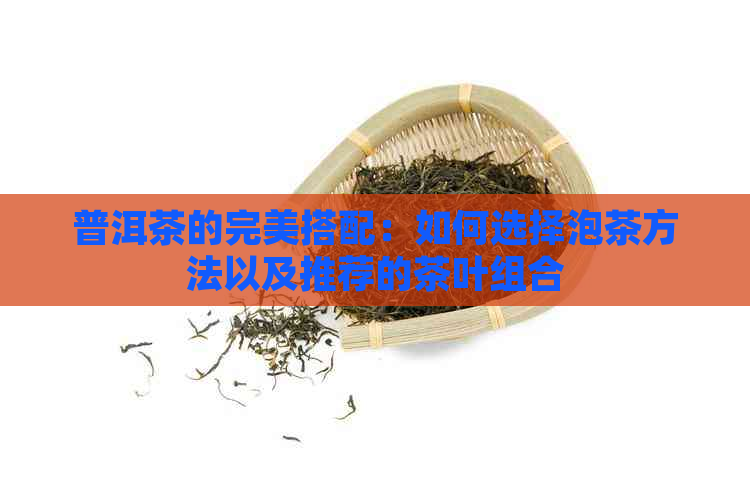 普洱茶的完美搭配：如何选择泡茶方法以及推荐的茶叶组合