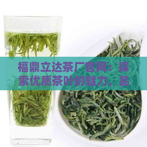 福鼎立达茶厂官网：探索优质茶叶的魅力，品尝正宗福鼎白茶的滋味