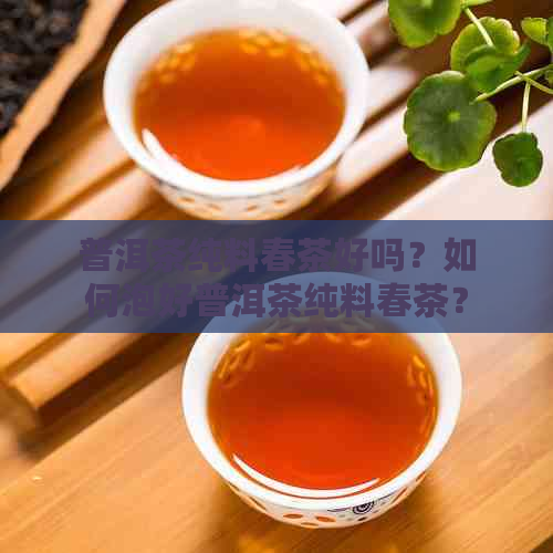 普洱茶纯料春茶好吗？如何泡好普洱茶纯料春茶？