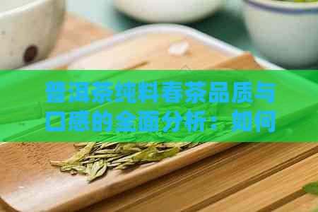 普洱茶纯料春茶品质与口感的全面分析：如何选择和品鉴？