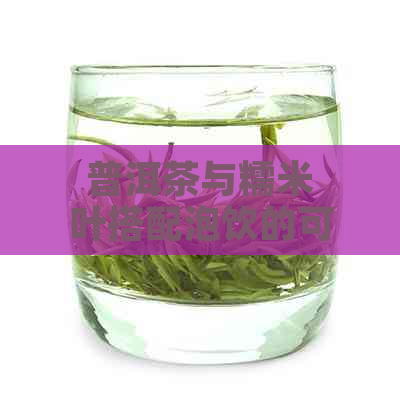 普洱茶与糯米叶搭配泡饮的可行性及注意事项