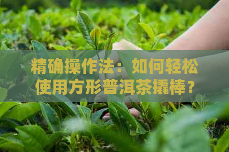 精确操作法：如何轻松使用方形普洱茶撬棒？