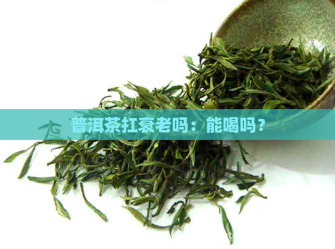 普洱茶扛衰老吗：能喝吗？