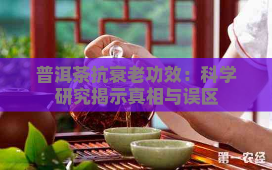 普洱茶抗衰老功效：科学研究揭示真相与误区