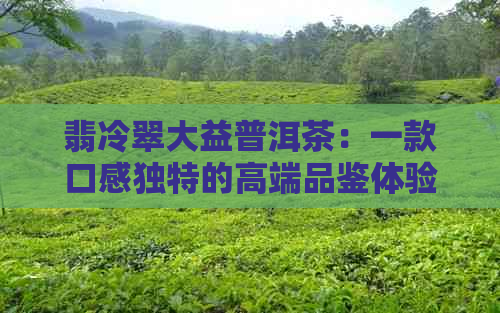 翡冷翠大益普洱茶：一款口感独特的高端品鉴体验