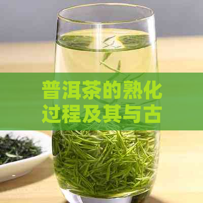 普洱茶的熟化过程及其与古木的关系：一探究竟