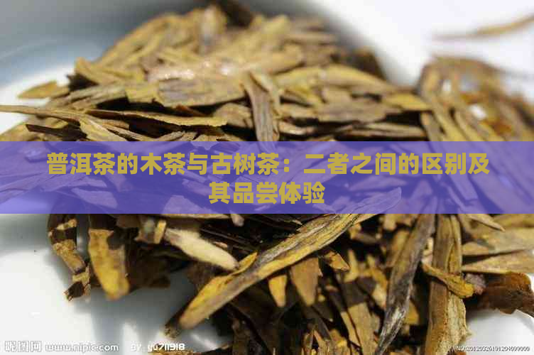 普洱茶的木茶与古树茶：二者之间的区别及其品尝体验