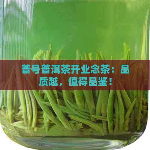 普号普洱茶开业念茶：品质越，值得品鉴！