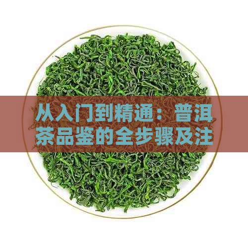 从入门到精通：普洱茶品鉴的全步骤及注意事项，让你成为专业的茶叶鉴师