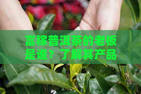 富稼普洱茶的老板是谁？了解其产品质量和口感！