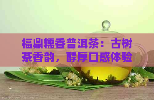 福鼎糯香普洱茶：古树茶香韵，醇厚口感体验，珍藏级品质享受