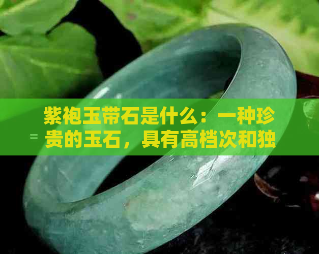 紫袍玉带石是什么：一种珍贵的玉石，具有高档次和独特的外观。