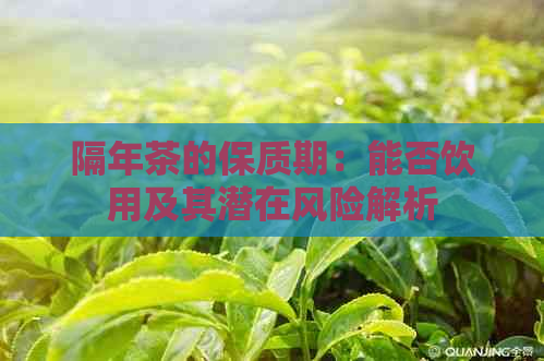 隔年茶的保质期：能否饮用及其潜在风险解析