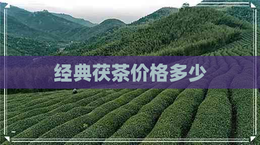 经典茯茶价格多少