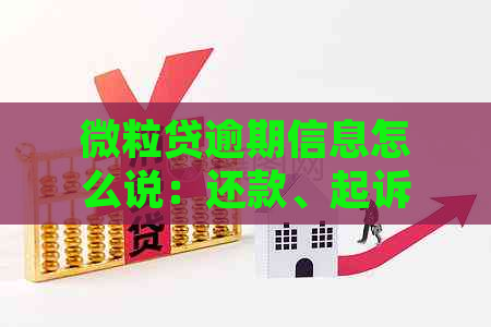 微粒贷逾期信息怎么说：还款、起诉、通知及处理建议