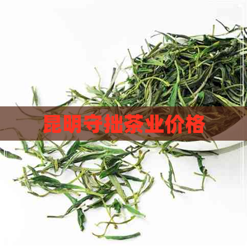 昆明守拙茶业价格