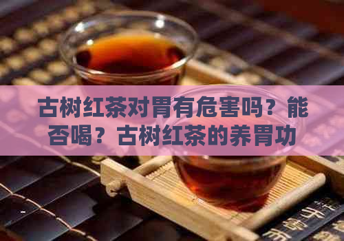 古树红茶对胃有危害吗？能否喝？古树红茶的养胃功效与副作用