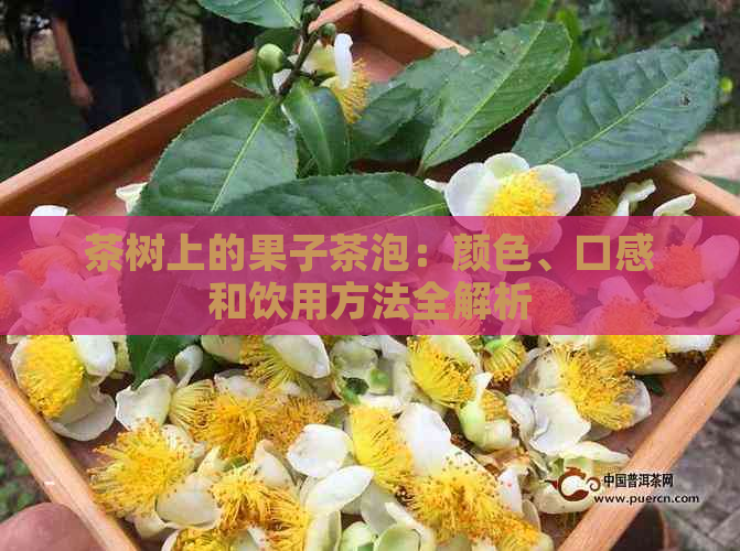 茶树上的果子茶泡：颜色、口感和饮用方法全解析