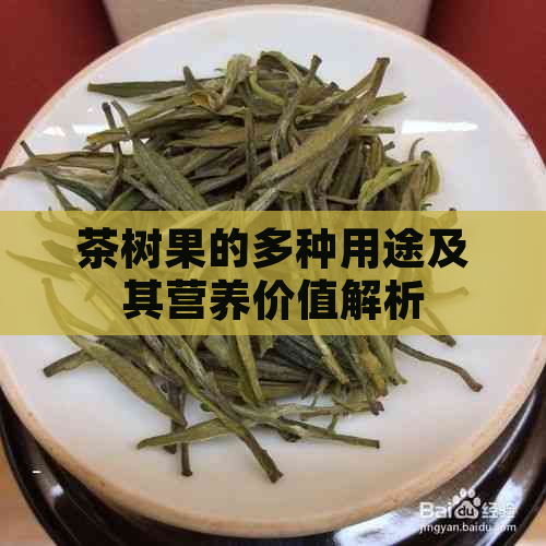 茶树果的多种用途及其营养价值解析