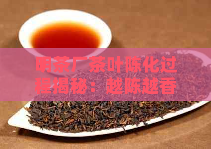 明茶厂茶叶陈化过程揭秘：越陈越香的秘诀是什么？