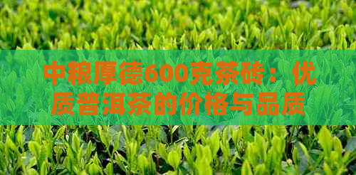 中粮厚德600克茶砖：优质普洱茶的价格与品质解析