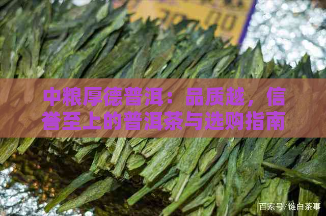 中粮厚德普洱：品质越，信誉至上的普洱茶与选购指南