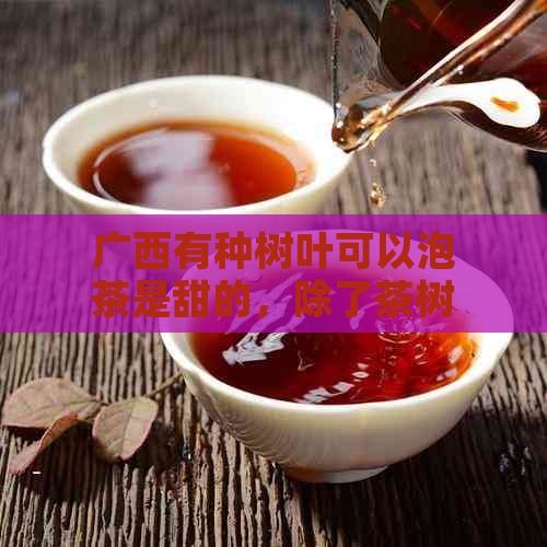 广西有种树叶可以泡茶是甜的，除了茶树叶，原来这些树的叶子也可以泡茶喝