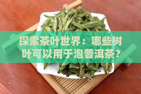 探索茶叶世界：哪些树叶可以用于泡普洱茶？