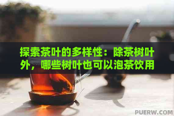 探索茶叶的多样性：除茶树叶外，哪些树叶也可以泡茶饮用？