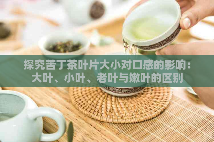 探究苦丁茶叶片大小对口感的影响：大叶、小叶、老叶与嫩叶的区别