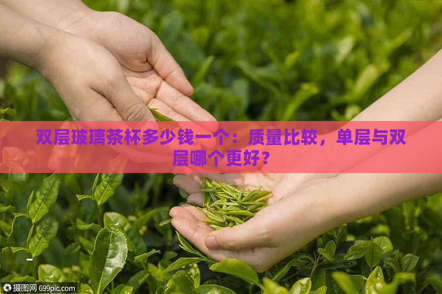 双层玻璃茶杯多少钱一个：质量比较，单层与双层哪个更好？