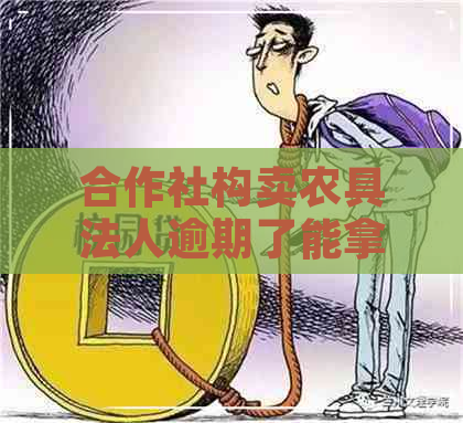 合作社构卖农具法人逾期了能拿到补贴吗